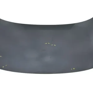 Niska cena MASKA POKRYWA SILNIKA RENAULT SCENIC III 3